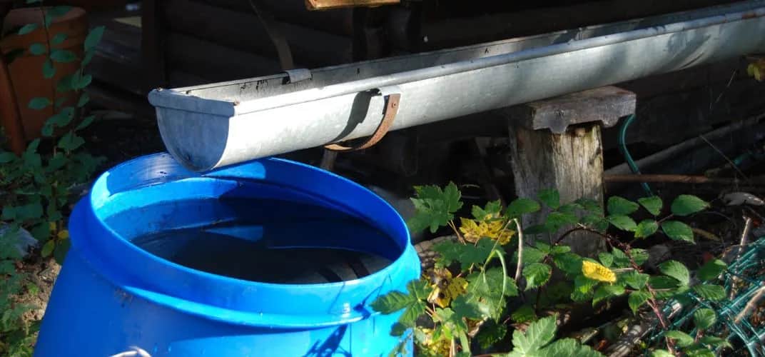 Oszczędzanie wody - jak to robić skutecznie w domu i ogrodzie?