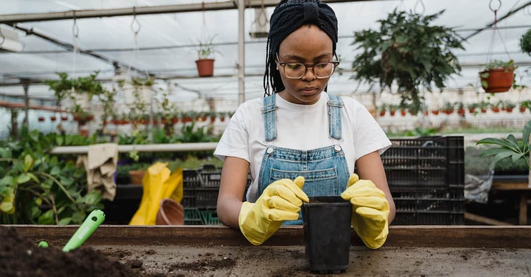 Uprawa bez nawozów chemicznych - poradnik dla początkujących