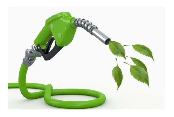 Biopaliwa przyszłością transportu? Które mają największy potencjał?