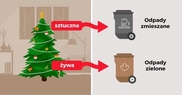 Gdzie wyrzucić choinkę po świętach, by pomóc środowisku i uniknąć problemów Gdzie wyrzucić choinkę po świętach, by pomóc środowisku i uniknąć problemów