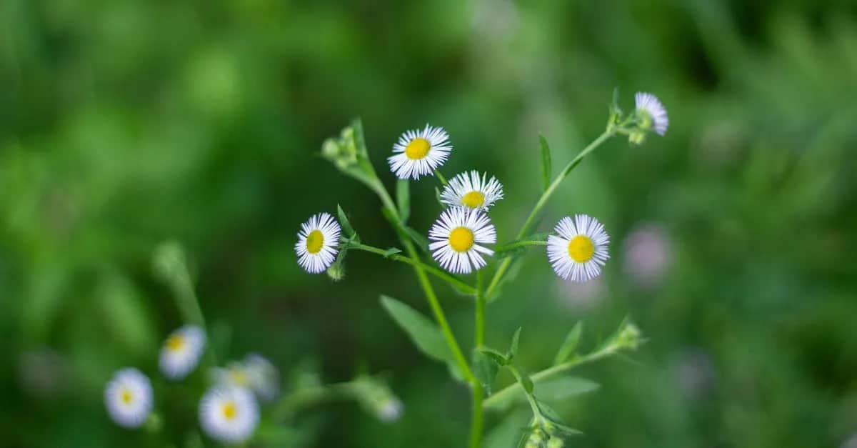 Ekologiczni bohaterowie: Polscy aktorzy w filmach o klimacie