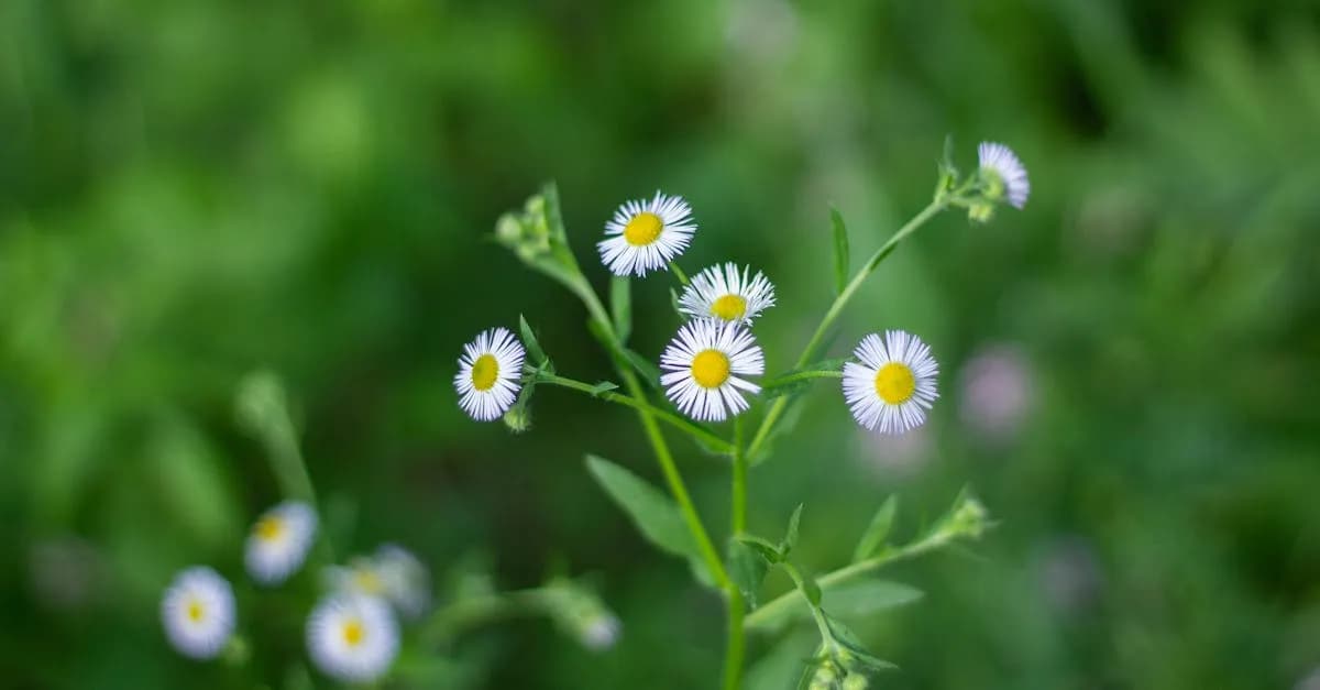 Ekologiczni bohaterowie: Polscy aktorzy w filmach o klimacie