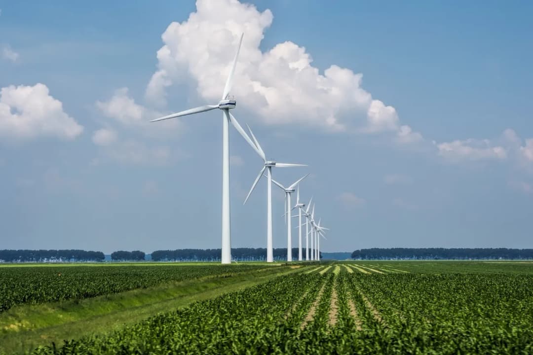 Jak elektrownie wiatrowe przyczyniają się do zrównoważonego rozwoju i ochrony środowiska