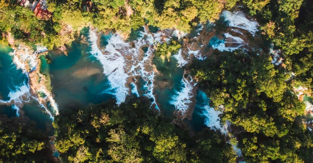 Czy filmy ekologiczne naprawdę zmieniają nasze nawyki?