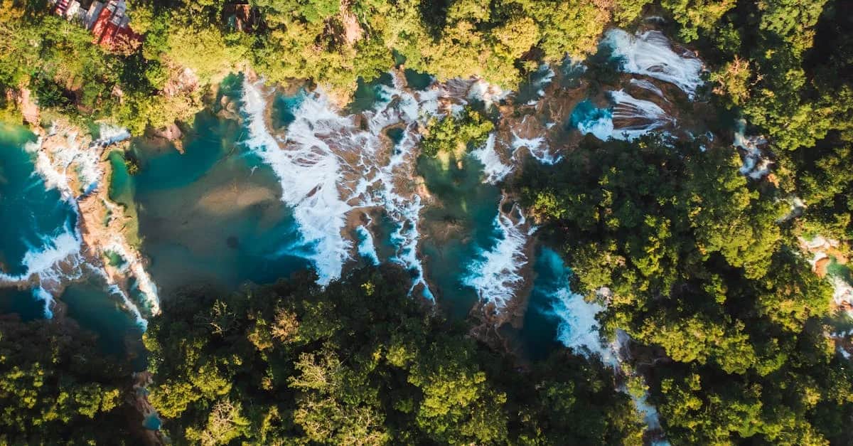 Czy filmy ekologiczne naprawdę zmieniają nasze nawyki?