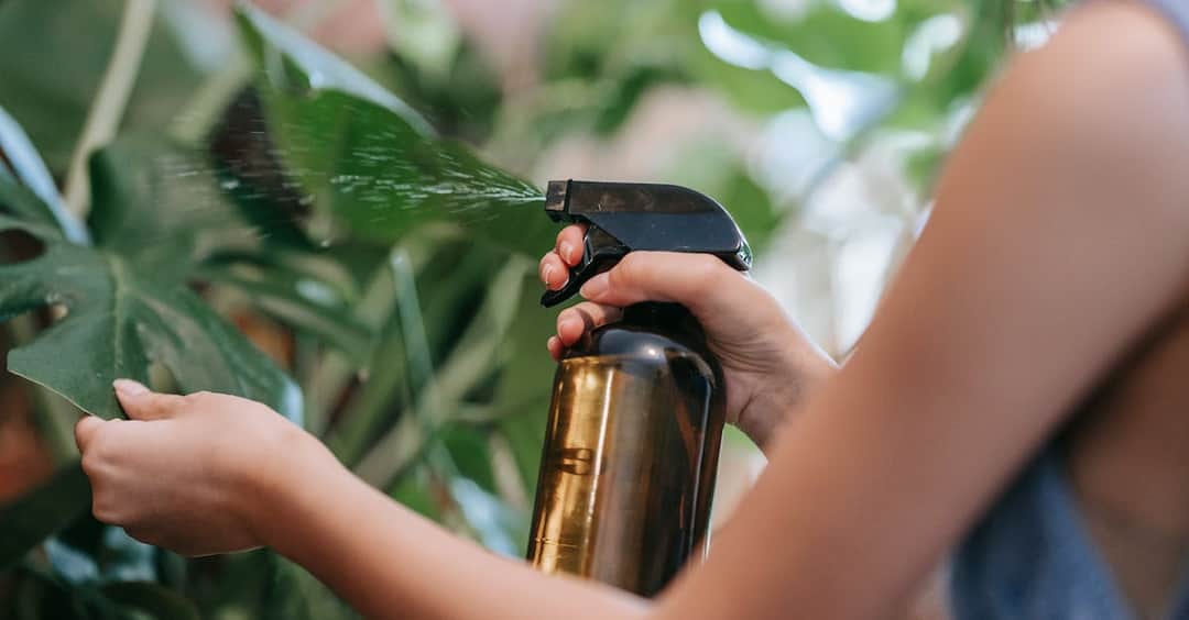 Jak założyć ekologiczny ogródek na balkonie w bloku?