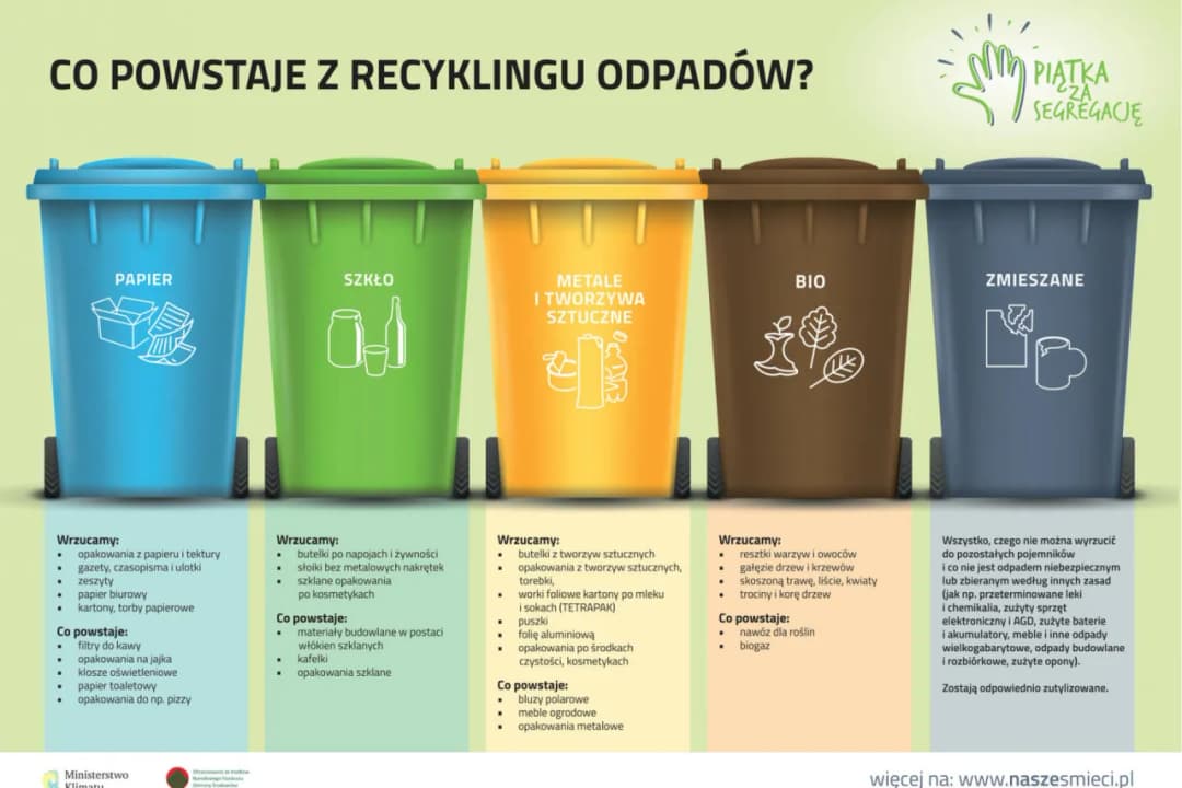 Dzień Recyklingu: jak możesz zmienić świat i uniknąć ekologicznych błędów